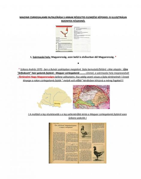 bagdi_f.csirkegalamb_1.jpg