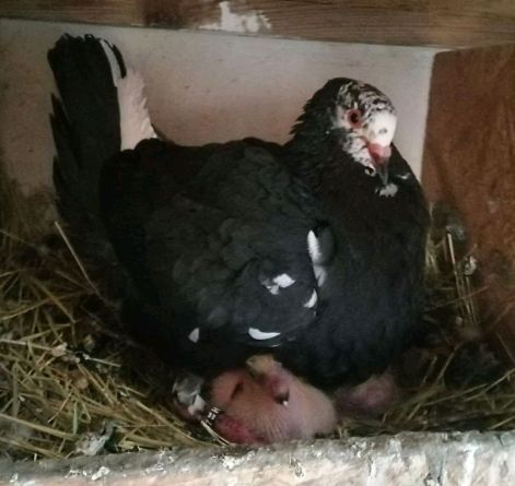 fb_img_16949389302853196.jpg fb_img_16949389302853196.jpg