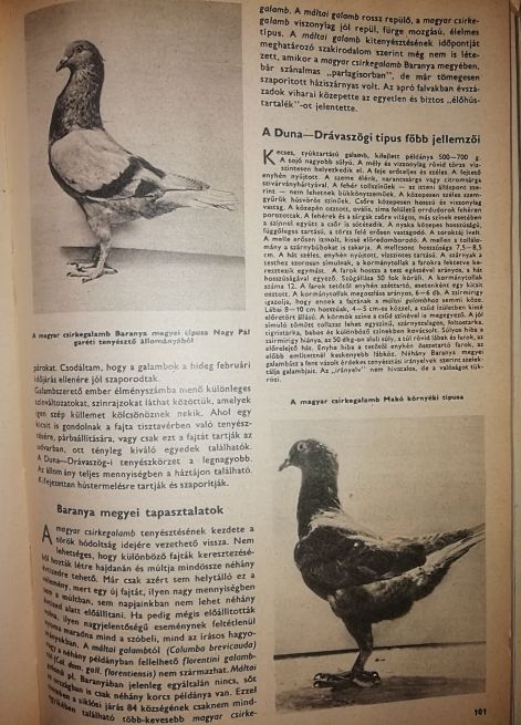 img_20230903_0947582.jpg img_20230903_0947582.jpg