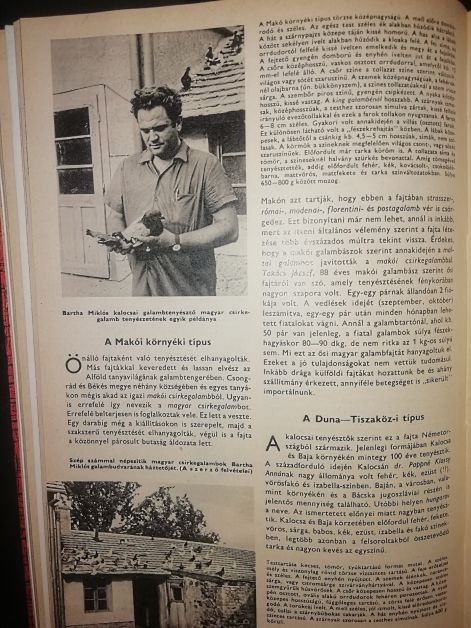 img_20230903_0949142.jpg img_20230903_0949142.jpg