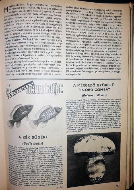 img_20230903_0949422.jpg img_20230903_0949422.jpg