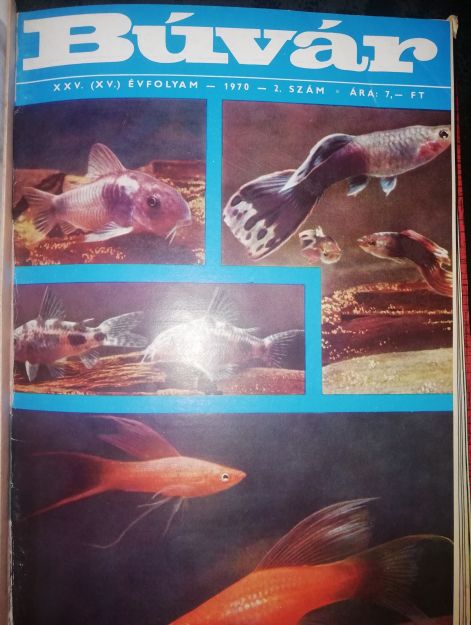 img_20230903_095826.jpg img_20230903_095826.jpg