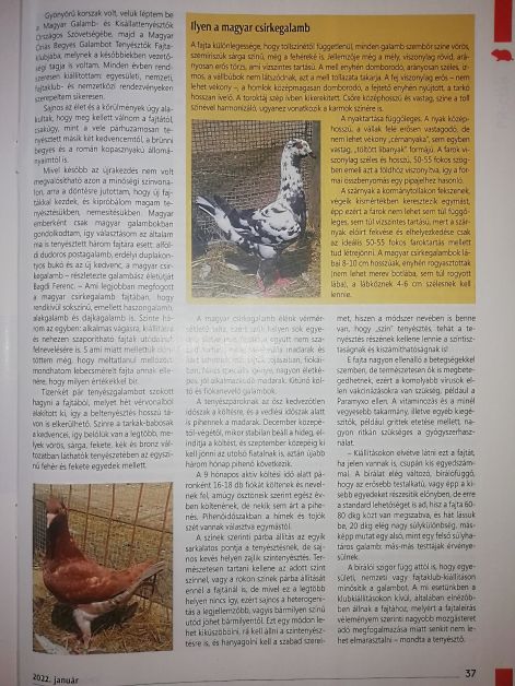 img_20230903_1031152.jpg img_20230903_1031152.jpg