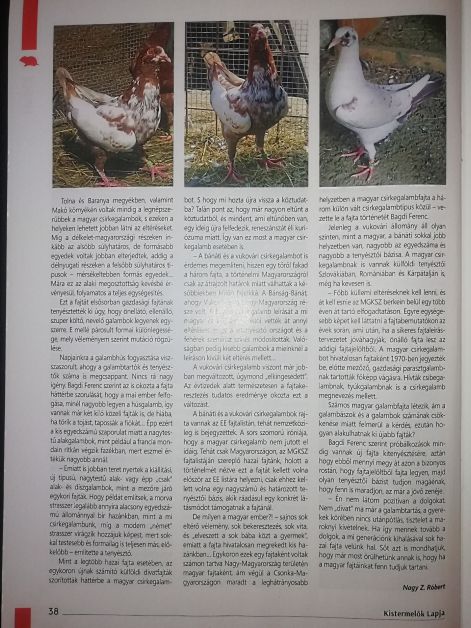 img_20230903_1031362.jpg img_20230903_1031362.jpg