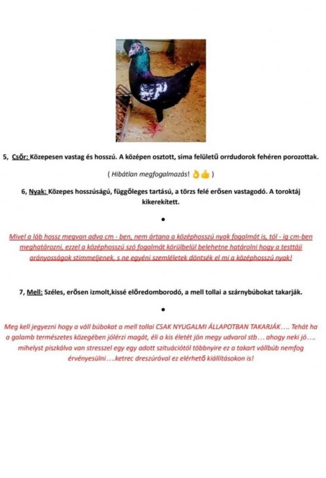 screenshot_20230903_101618_com.google.android.apps.photos2.jpg screenshot_20230903_101618_com.google.android.apps.photos2.jpg