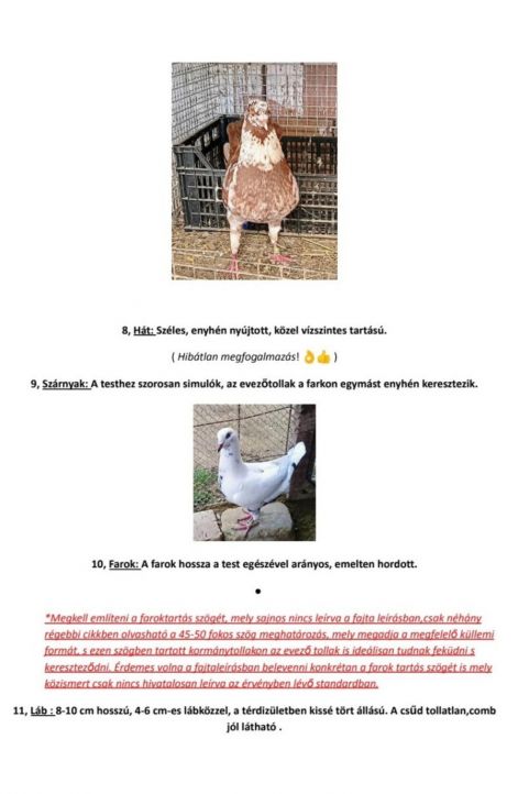 screenshot_20230903_101637_com.google.android.apps.photos2.jpg screenshot_20230903_101637_com.google.android.apps.photos2.jpg