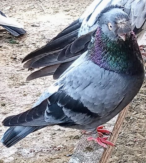 screenshot_20230917_004337_com.google.android.apps.photos2.jpg screenshot_20230917_004337_com.google.android.apps.photos2.jpg