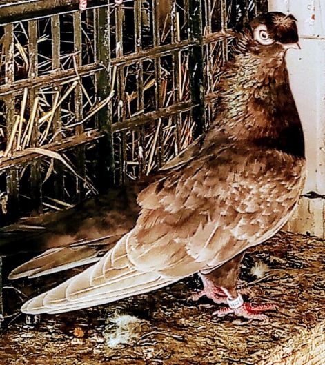 screenshot_20230917_004532_com.google.android.apps.photos2.jpg screenshot_20230917_004532_com.google.android.apps.photos2.jpg