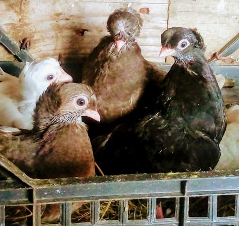 screenshot_20230917_004725_com.google.android.apps.photos2.jpg screenshot_20230917_004725_com.google.android.apps.photos2.jpg