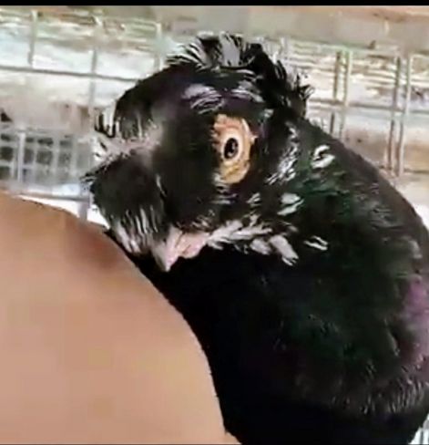 screenshot_20230917_005156_com.google.android.apps.photos3.jpg screenshot_20230917_005156_com.google.android.apps.photos3.jpg