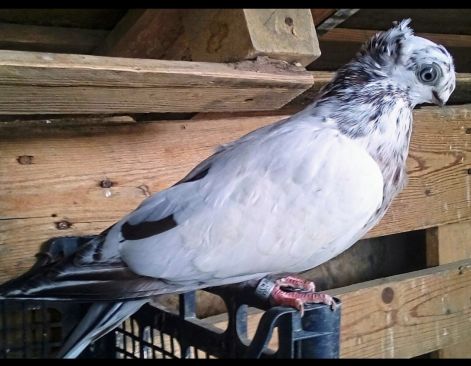 screenshot_20230917_005247_com.google.android.apps.photos2.jpg screenshot_20230917_005247_com.google.android.apps.photos2.jpg