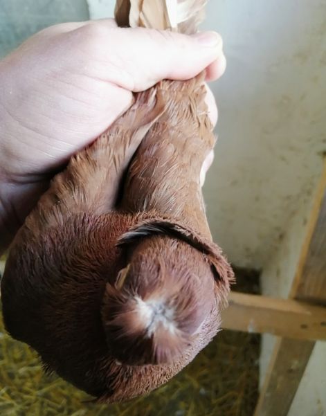 screenshot_20230917_005431_com.google.android.apps.photos4.jpg screenshot_20230917_005431_com.google.android.apps.photos4.jpg