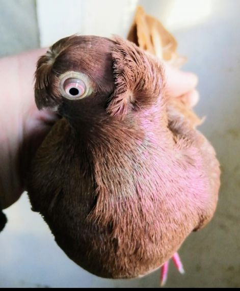 screenshot_20230917_005437_com.google.android.apps.photos2.jpg screenshot_20230917_005437_com.google.android.apps.photos2.jpg