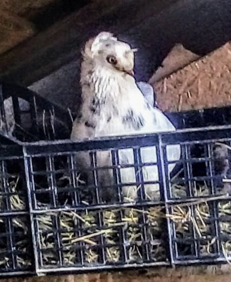 screenshot_20230917_012330_com.google.android.apps.photos2.jpg screenshot_20230917_012330_com.google.android.apps.photos2.jpg