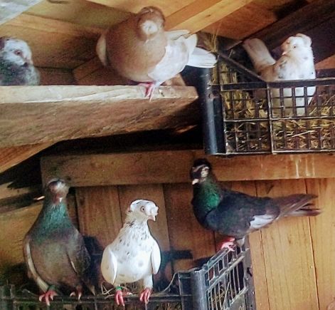 screenshot_20230917_012404_com.google.android.apps.photos2.jpg screenshot_20230917_012404_com.google.android.apps.photos2.jpg