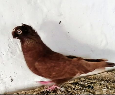 screenshot_20230917_023125_com.google.android.apps.photos2.jpg screenshot_20230917_023125_com.google.android.apps.photos2.jpg