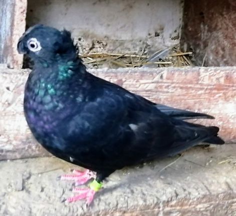 screenshot_20230917_023403_com.google.android.apps.photos2.jpg screenshot_20230917_023403_com.google.android.apps.photos2.jpg