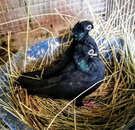 screenshot_20230917_023418_com.google.android.apps.photos2.jpg screenshot_20230917_023418_com.google.android.apps.photos2.jpg