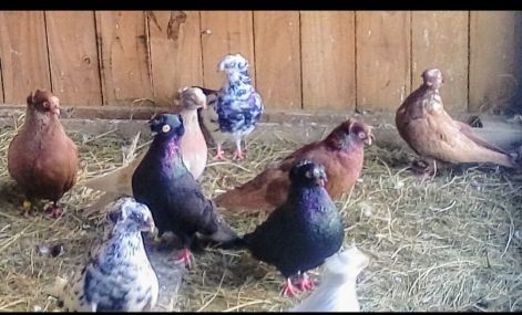 screenshot_20230917_025204_com.google.android.apps.photos2.jpg screenshot_20230917_025204_com.google.android.apps.photos2.jpg