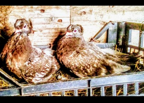 screenshot_20230917_025232_com.google.android.apps.photos2.jpg screenshot_20230917_025232_com.google.android.apps.photos2.jpg