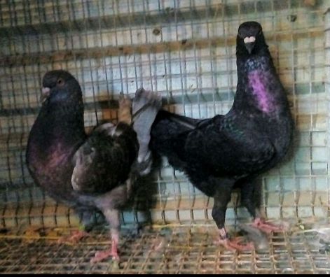 screenshot_20230919_080628_com.google.android.apps.photos2.jpg screenshot_20230919_080628_com.google.android.apps.photos2.jpg