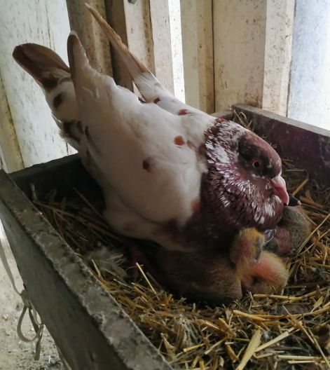 screenshot_20230919_080850_com.google.android.apps.photos2.jpg screenshot_20230919_080850_com.google.android.apps.photos2.jpg