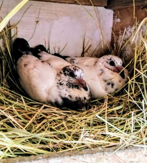 screenshot_20230919_082338_com.google.android.apps.photos2.jpg screenshot_20230919_082338_com.google.android.apps.photos2.jpg